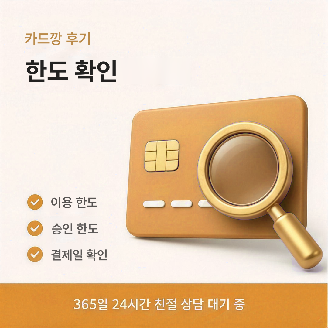 다음머니 카드깡 후기 한도 확인 안내 이미지